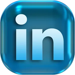 Professional Network Icon PNG image