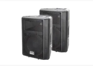 Professional P A Speakers Set PNG image