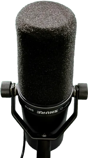 Professional Studio Microphone PNG image