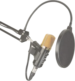 Professional Studio Microphone With Pop Filter PNG image