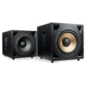 Professional Subwoofer Png 06282024 PNG image