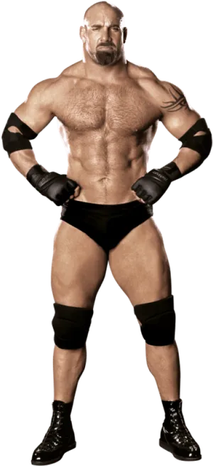 Professional Wrestler Stance PNG