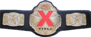 Professional Wrestling Championship Belt