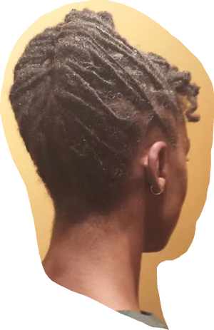 Profile View Dreadlocks Hairstyle PNG image