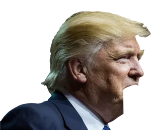 Profileof Donald Trump PNG image