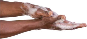 Proper Hand Washing Technique PNG image