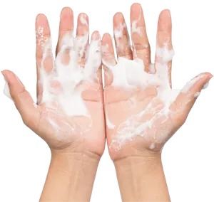 Proper Hand Washing Technique Coronavirus Prevention.png PNG image