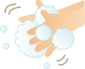 Proper Hand Washing Technique PNG