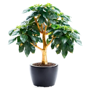 Prosperous Money Tree Image Png 13 PNG image