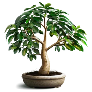 Prosperous Money Tree Image Png 75 PNG image