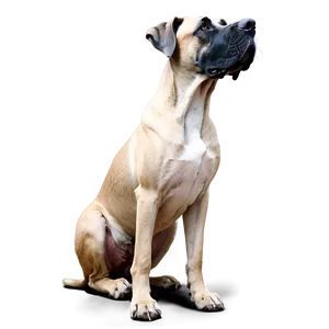 Protective Great Dane PNG 06212024