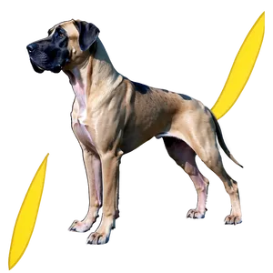 Protective Great Dane PNG 14