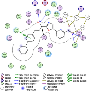 Protein Ligand Interaction Map PNG image