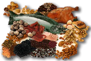 Protein Sources Collage PNG image