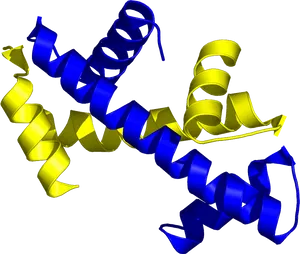 Protein Structure3 D Model PNG image