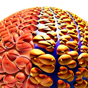 Protein Synthesis Overview PNG 05242024