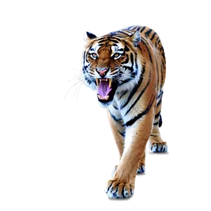 Prowling Tiger's Ire Png 24 PNG image