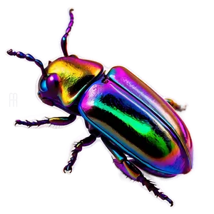 Psychedelic Beetle Visual PNG Stq19 PNG