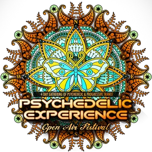 Psychedelic Experience Festival Poster PNG image