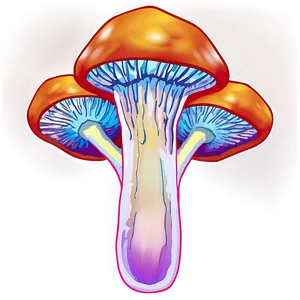 Psychedelic Mushrooms PNG Pmx