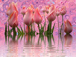 Psychedelic Tulips Reflection PNG image
