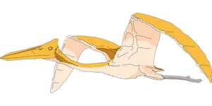 Pterosaur Illustration Black Background