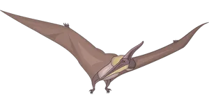 Pterosaur Illustration Flying Dinosaur