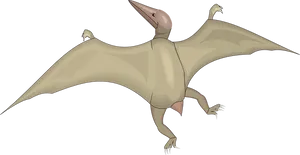 Pterosaur In Flight Illustration