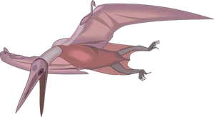 Pterosaur In Flight Illustration