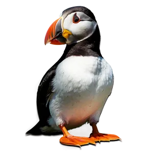 Puffin Bird Cute PNG 05032024