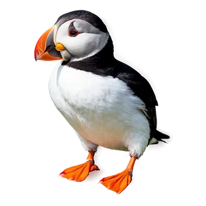 Puffin Bird Cute PNG Gqg73