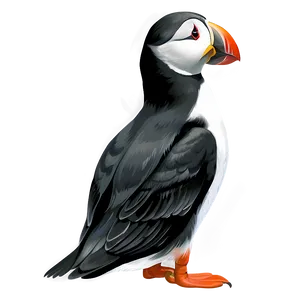 Puffin Black And White PNG Env15 PNG