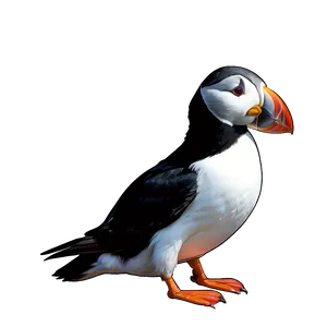 Puffin Digital Art Png 06292024 PNG image