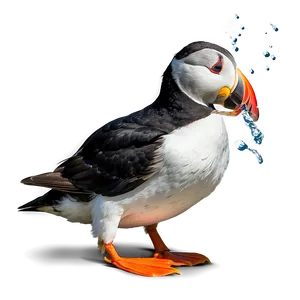 Puffin Eating Fish PNG 26 PNG