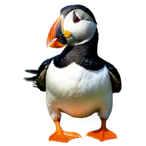 Puffin Eating Fish PNG Ubi