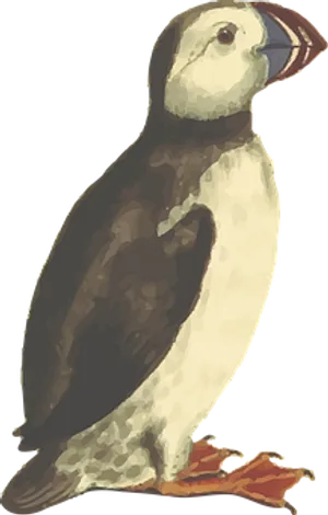 Puffin_ Illustration_ Artwork
