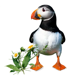 Puffin In Nature Png Ttj90 PNG image