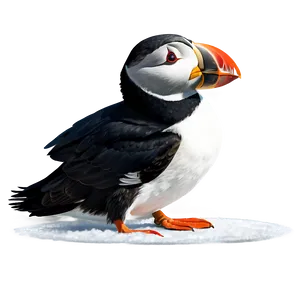 Puffin In Snow PNG Hnf78