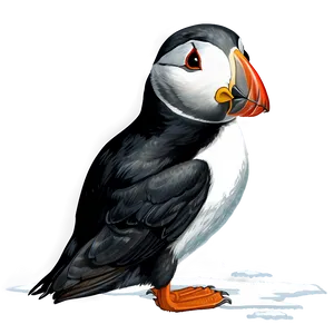 Puffin In Snow PNG Scr PNG