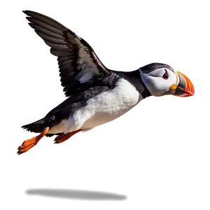Puffin Landing PNG 06292024