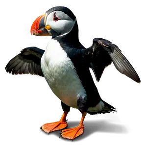 Puffin Landing PNG Xso