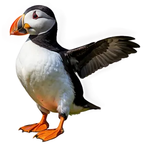 Puffin Standing PNG Bqy57 PNG