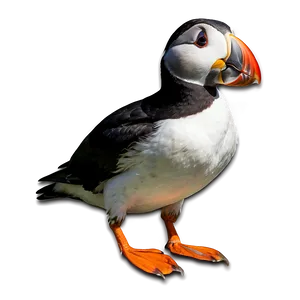 Puffin Standing PNG Vog1