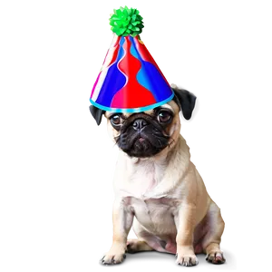 Pug With Party Hat Png Lng33 PNG image