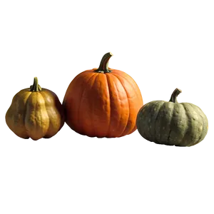 Pumpkin And Gourds Clipart PNG Jrq PNG