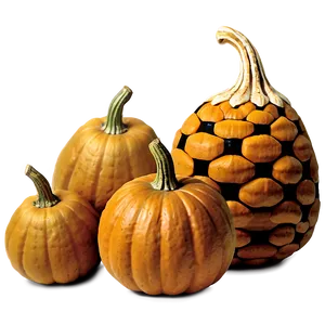 Pumpkin And Gourds PNG Jpw27