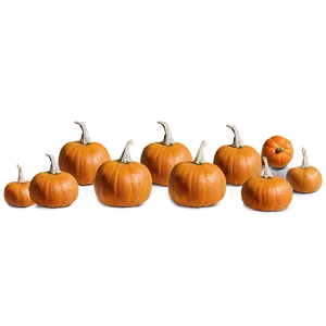 Pumpkin Patch C