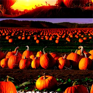 Pumpkin Patch Sunset Glow Png 17 PNG image