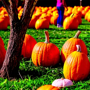 Pumpkin Patch With Picnic Area PNG Qtc