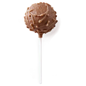 Pumpkin Spice Cake Pops PNG 06272024